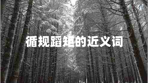 循規(guī)蹈矩的近義詞