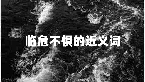 臨危不懼的近義詞