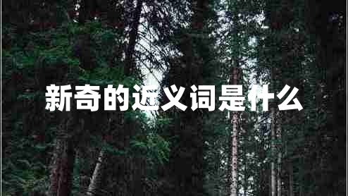 新奇的近義詞是什么