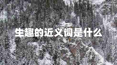 生趣的近義詞是什么