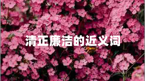 清正廉潔的近義詞