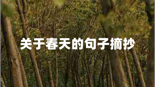 關(guān)于春天的句子摘抄