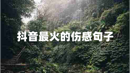 抖音最火的傷感句子