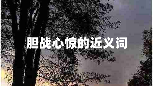 膽戰(zhàn)心驚的近義詞