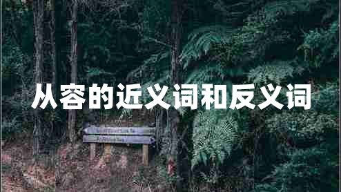 從容的近義詞和反義詞