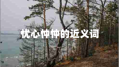 憂心忡忡的近義詞