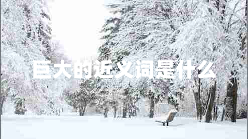 巨大的近義詞是什么