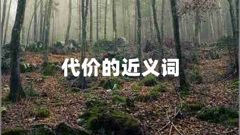 代價(jià)的近義詞