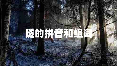 隧的拼音和組詞