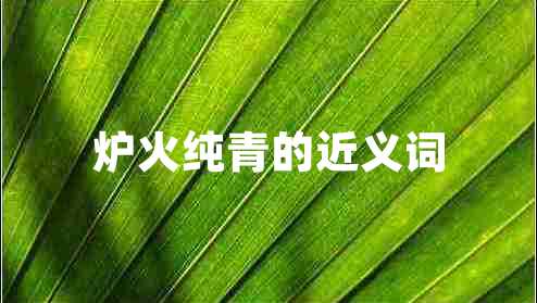 爐火純青的近義詞