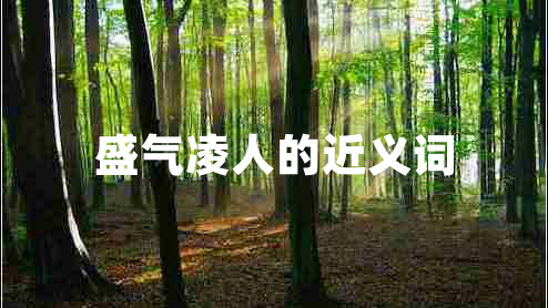 盛氣凌人的近義詞 盛氣凌人的近義詞