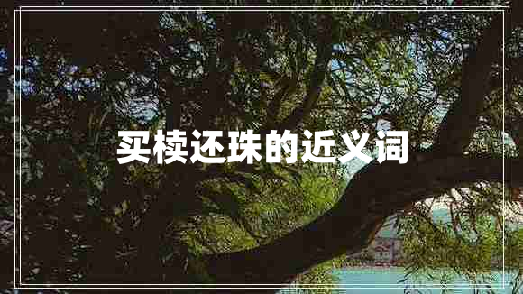 買(mǎi)櫝還珠的近義詞