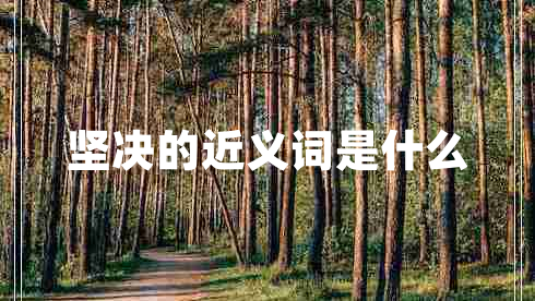 堅(jiān)決的近義詞是什么