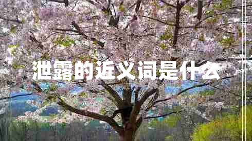 泄露的近義詞是什么