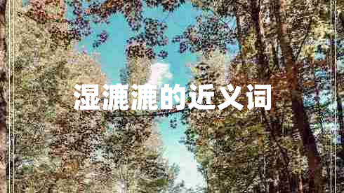 濕漉漉的近義詞