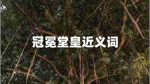 冠冕堂皇近義詞