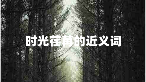 時光荏苒的近義詞