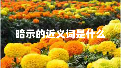 暗示的近義詞是什么