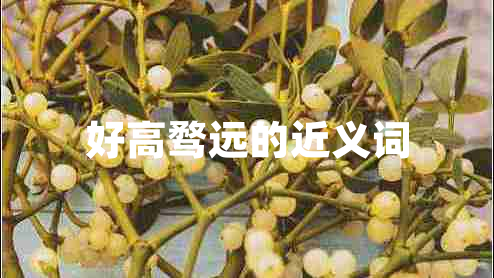 好高騖遠的近義詞