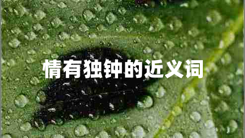 情有獨(dú)鐘的近義詞