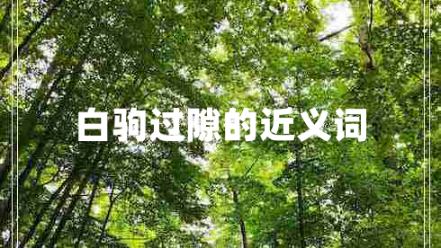 白駒過隙的近義詞