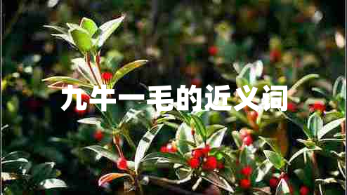 九牛一毛的近義詞