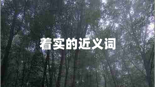 著實(shí)的近義詞