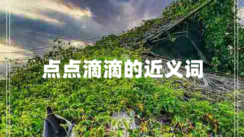 點(diǎn)點(diǎn)滴滴的近義詞