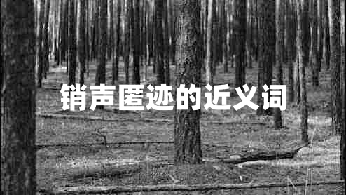 銷(xiāo)聲匿跡的近義詞