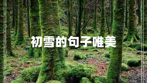 初雪的句子唯美