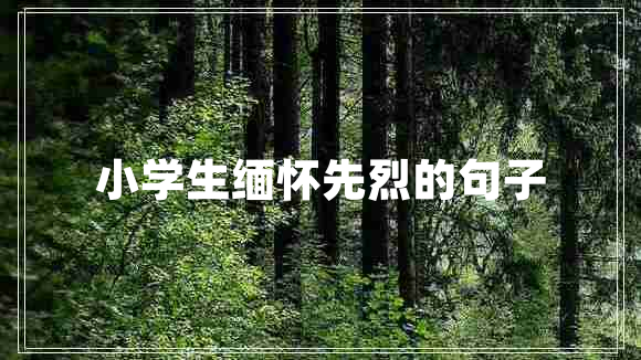 小學(xué)生緬懷先烈的句子