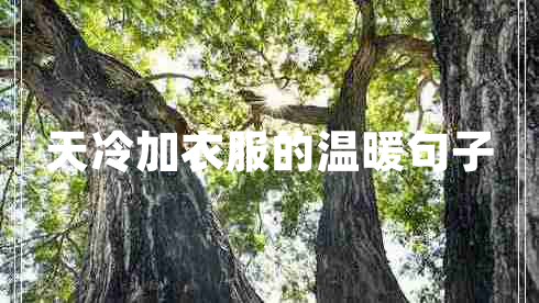 天冷加衣服的溫暖句子 天冷加衣服的溫暖句子