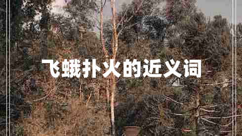 飛蛾撲火的近義詞