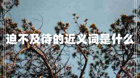 迫不及待的近義詞是什么