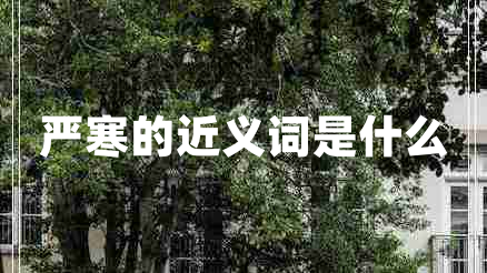 嚴(yán)寒的近義詞是什么