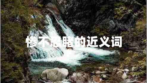 慘不忍睹的近義詞 慘不忍睹的近義詞