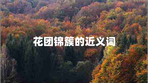 花團(tuán)錦簇的近義詞