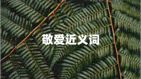 敬愛(ài)近義詞
