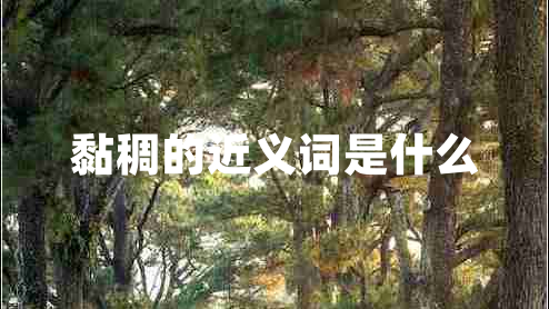 黏稠的近義詞是什么