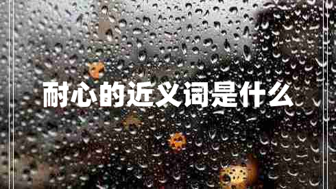 耐心的近義詞是什么
