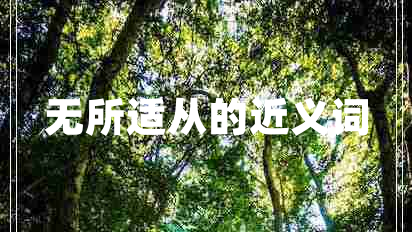 無所適從的近義詞