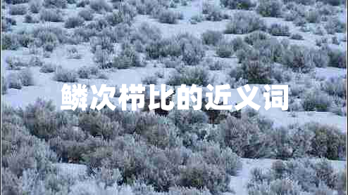 鱗次櫛比的近義詞