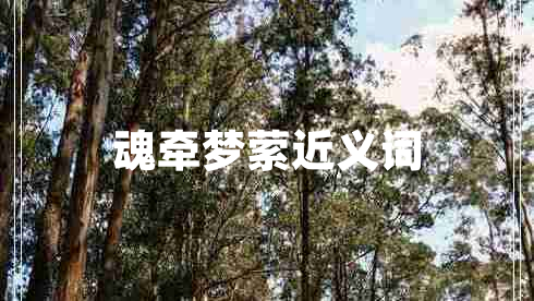 魂?duì)繅?mèng)縈近義詞