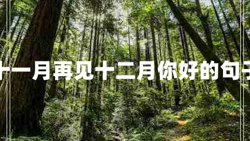 十一月再見(jiàn)十二月你好的句子