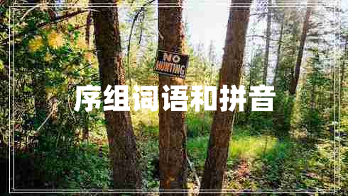 序組詞語(yǔ)和拼音