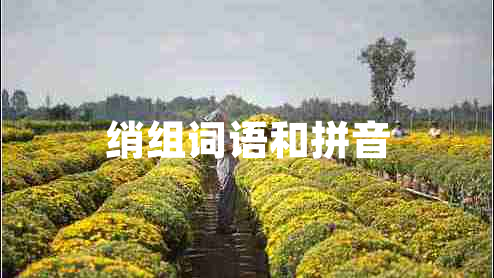 綃組詞語(yǔ)和拼音