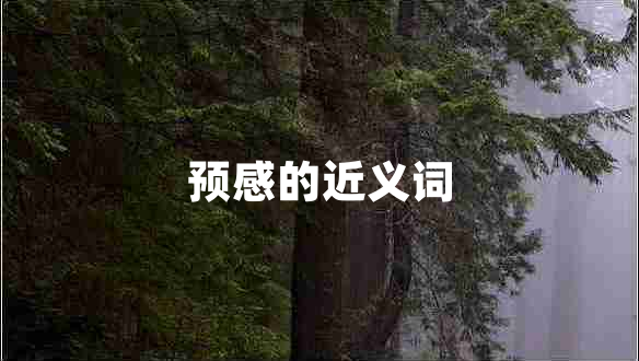 預感的近義詞