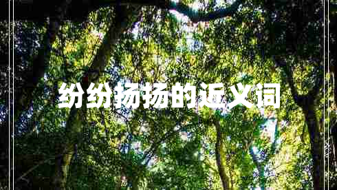 紛紛揚(yáng)揚(yáng)的近義詞