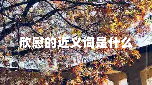 欣慰的近義詞是什么