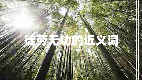 徒勞無功的近義詞